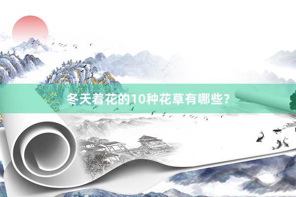 冬天着花的10种花草有哪些？