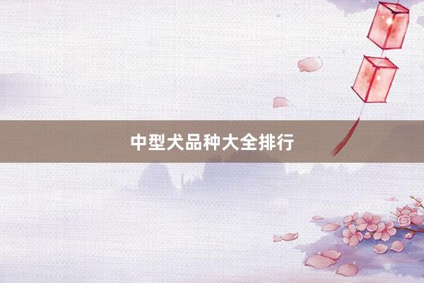 中型犬品种大全排行
