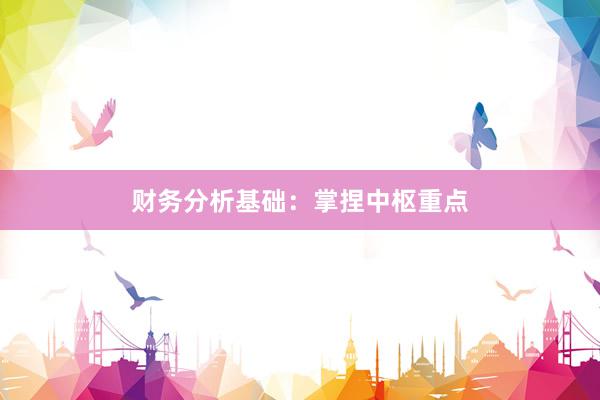 财务分析基础:掌捏中枢重点