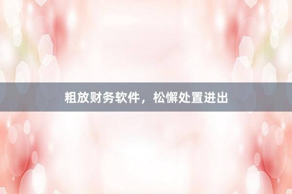 粗放财务软件，松懈处置进出